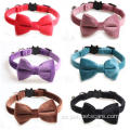 Amable Luxury Small Pet Cat Bow Tie Collar